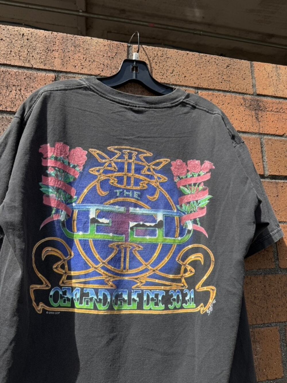 2003 The Grateful Dead Oakland Concert Y2K Vintage Gildan Tour Tee Shirt Furthur